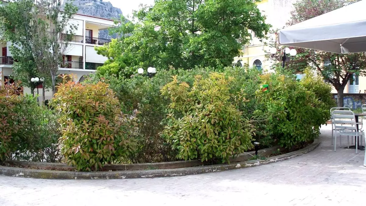 Read more about the article Ναύπλιο: Την «έτρωγαν τα σκυλιά» και δεν την βοηθούσε κανείς