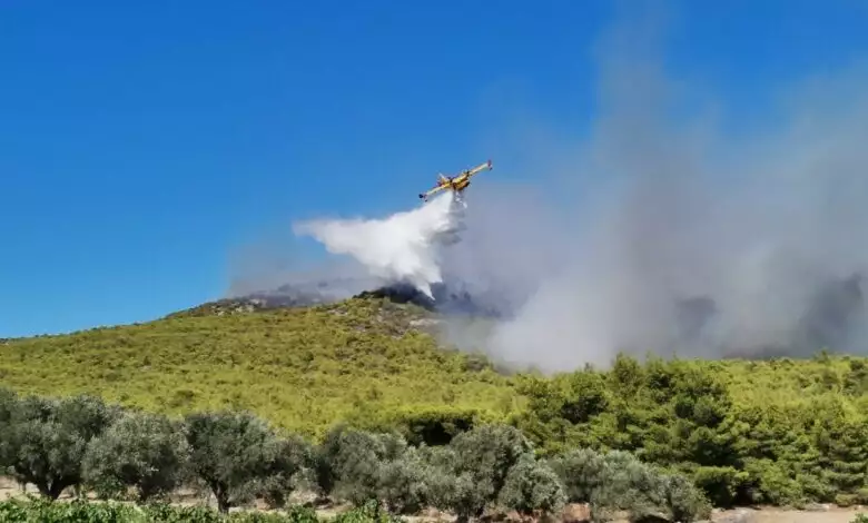 You are currently viewing Πυλία: Εξοργίζει ο εμπρηστής – «Με εξιτάρει να βλέπω τις ρίψεις από τα εναέρια»