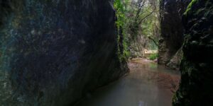 Read more about the article Φαράγγι Περιστεριάς: Ενας κρυμμένος θησαυρός λίγα χιλιόμετρα από τη Κυπαρισσία