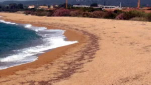 Read more about the article Πυλία: Μία από τις ομορφότερες αμμουδιές που δεν κατακλύζεται από τουρίστες