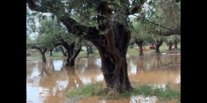 Read more about the article Γαργαλιάνοι: Ισχυρή βροχόπτωση – πλημμυρισμένη η εθνική για Μάραθο και Φιλιατρά