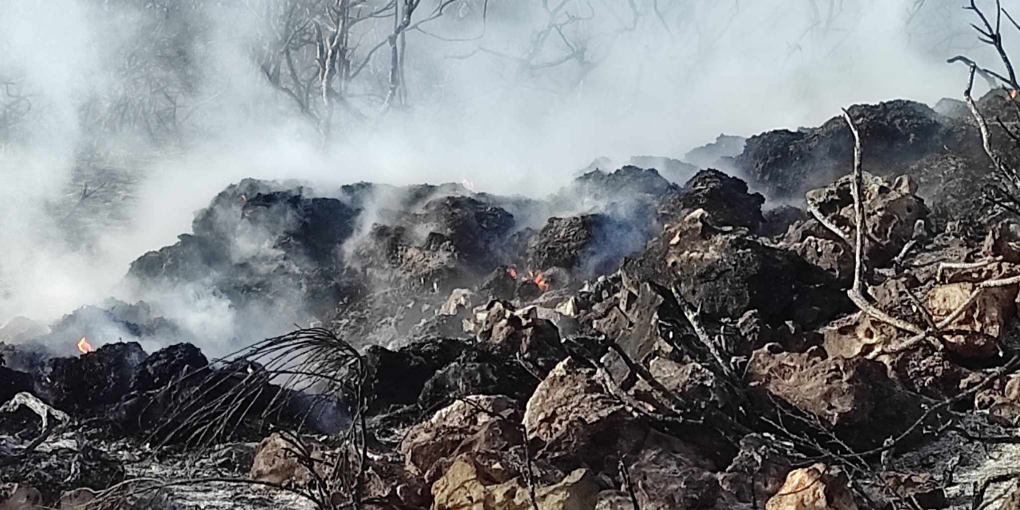 You are currently viewing Βρωμονέρι: Φωτιά έκαψε δασική έκταση (photos)