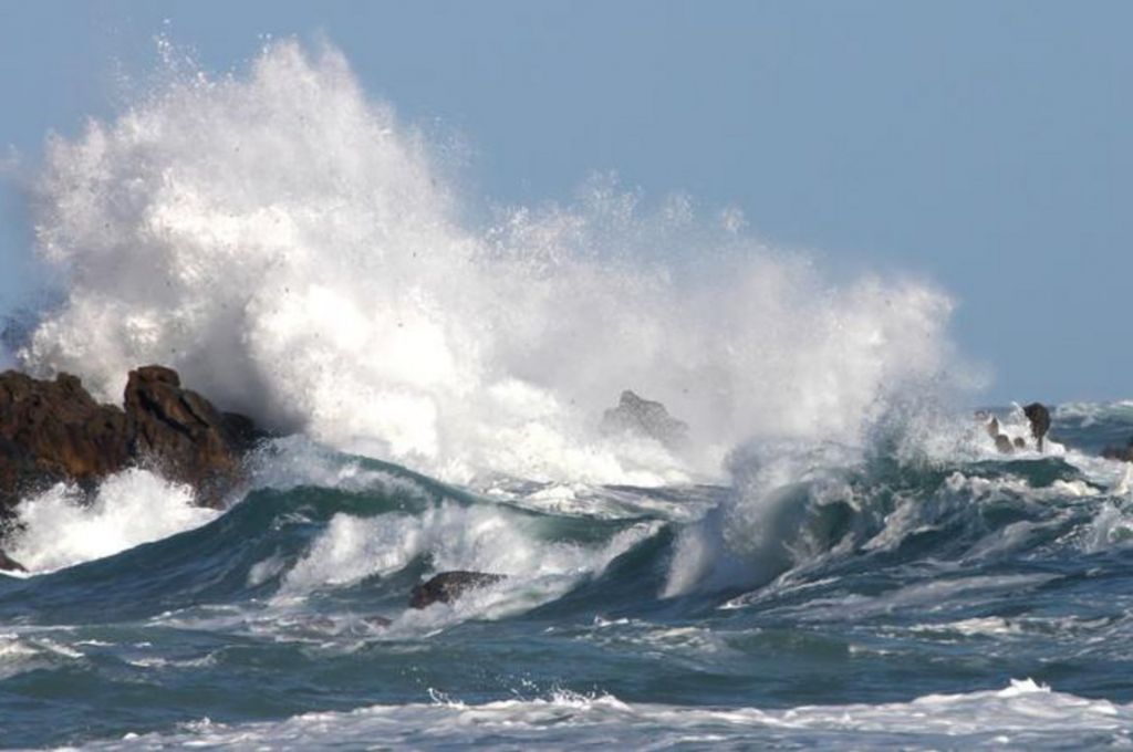 Read more about the article Φιαλιατρά: Τα 8 μποφόρ έφτασε ο άνεμος τα ξημερώματα της Κυριακής