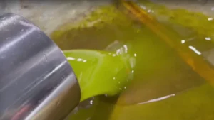 Read more about the article «Πηγαίναμε για το μεροκάματο» λένε οι εργάτες που έκλεψαν 10 τόνους ελιές