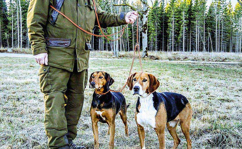 You are currently viewing Έντονος προβληματισμός: Πρωταθλήτρια στις φόλες η νότια Πελοπόννησος