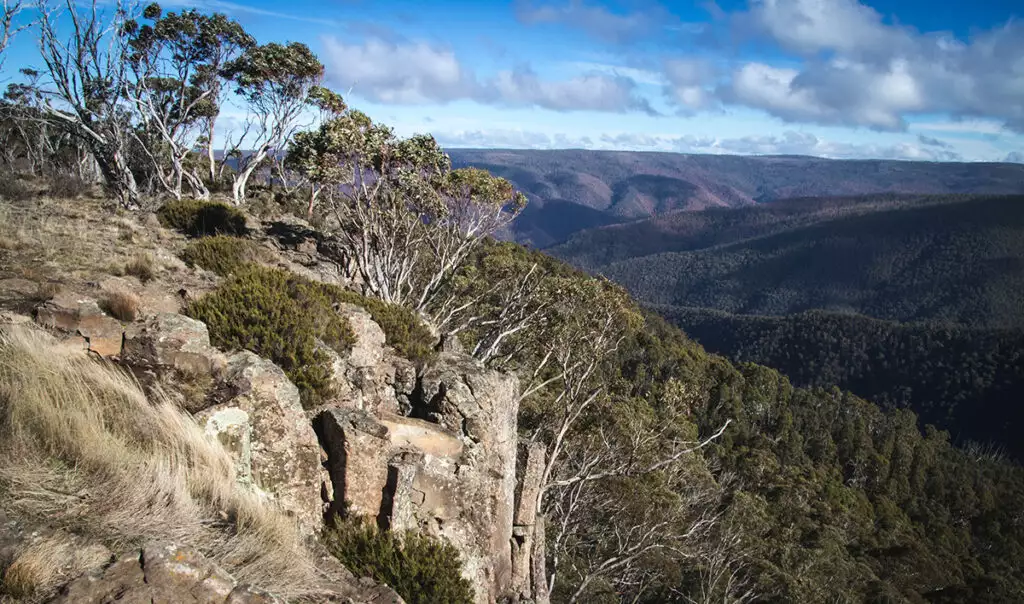 Read more about the article Μεσσηνιακή Μάνη: Νεκρός 95χρονος οδηγός φορτηγού – Έπεσε σε γκρεμό