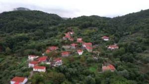 Read more about the article Καλίτσαινα Τριφυλίας: Το γαλήνιο χωριό που έχει αναβιώσει το έθιμο των χοιροσφαγίων