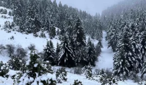 Read more about the article Καιρός: Έρχονται χιόνια και βροχές στην ανατολική Πελοπόννησο