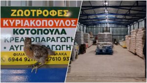Read more about the article Στο κατάστημα ζωοτροφών Γρ. Κυριακόπουλος τώρα βρίσκετε και οικόσιτα πουλερικά