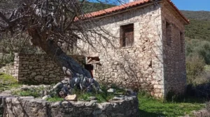 Read more about the article Δάρας Μεσσηνίας: Ένα ησυχαστήριο κυκλωμένο από την πέτρα και τα πλούσια νερά