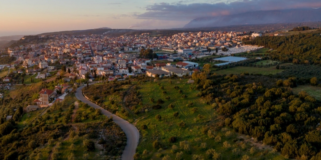 You are currently viewing Εκδήλωση του Λυκείου Γαργαλιάνων για την ελιά στον τόπο μας