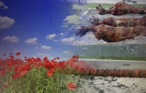 Read more about the article Καιρός: Κακοκαιρία και βροχές το Πάσχα – Πώς θα ψήσουμε τον οβελία