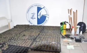 Read more about the article Μεσσηνία: Θα έκαναν “μπάζα” 1 εκατ. ευρώ από διακίνηση κάνναβης