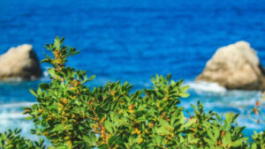 Read more about the article Μερομήνια 2024: Έρχεται δύσκολο καλοκαίρι – Τι δείχνουν οι προβλέψεις