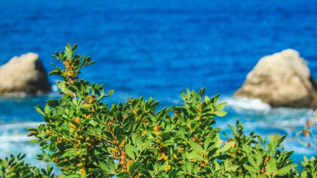 Read more about the article Μερομήνια 2024: Έρχεται δύσκολο καλοκαίρι – Τι δείχνουν οι προβλέψεις