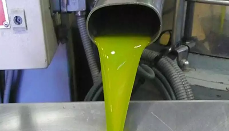 You are currently viewing Ελαιόλαδο: Πιέζονται αλλά αντέχουν ακόμα οι τιμές στην Πελοπόννησο