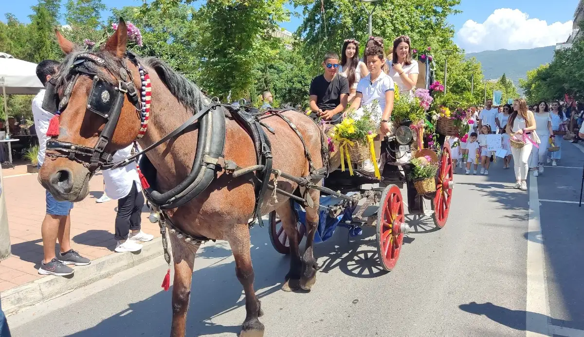 You are currently viewing Καλαμάτα: Λουλουδένια παρέλαση σήμερα στις 7:00 το απόγευμα