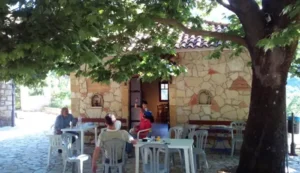 Read more about the article Λαντζουνάτο Τριφυλίας: Ένα ορεινό στολίδι της Μεσσηνίας