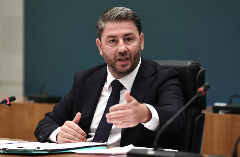 You are currently viewing Ανδρουλάκης: “Η ψήφος στο ΠΑΣΟΚ θα πονέσει το Μαξίμου”