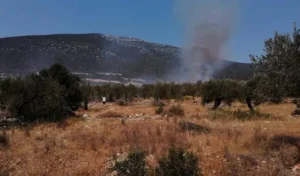 Read more about the article Καλαμάτα: Σύλληψη 45χρονου για εμπρησμό