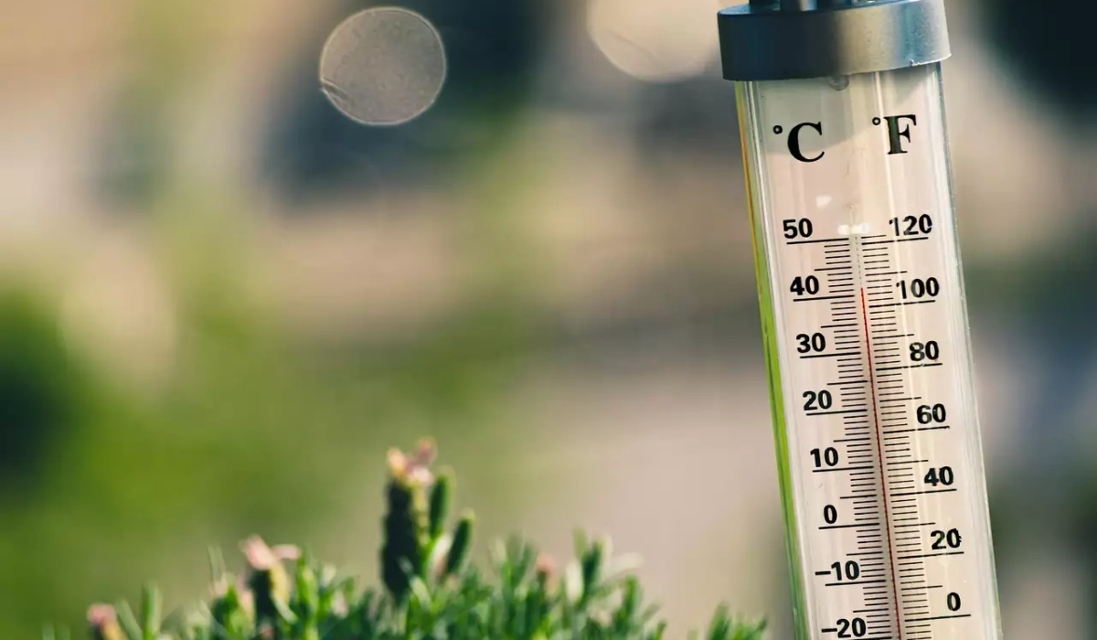 You are currently viewing ¨Πρωτοπόρα¨ η Μεσσηνία και η Λακωνία στα 40αρια και χθες