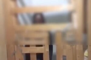 Read more about the article Καλαμάτα: Συγκλονίζει η υπόθεση της 29χρονης που ζει μέσα σε κλουβί (!)