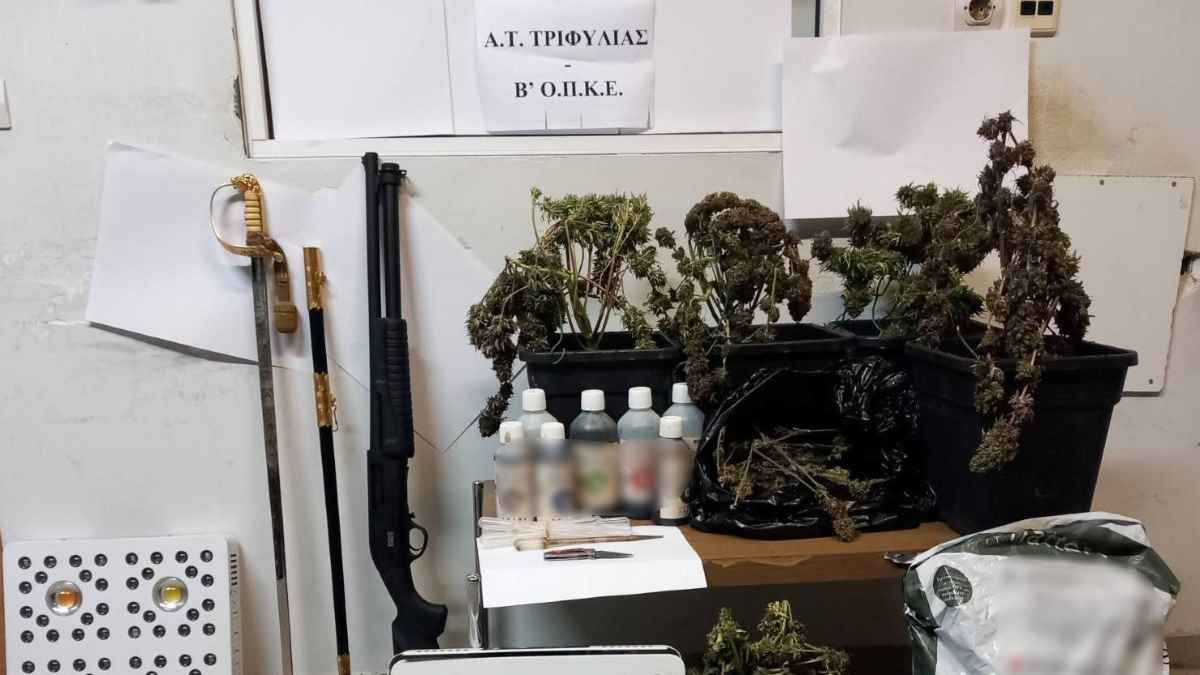 Read more about the article Κυπαρισσία: Συνελήφθησαν δύο άτομα για ναρκωτικά και όπλα