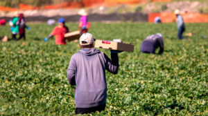 Read more about the article Ανυπότακτα Φιλιατρά: Με αφορμή τις ευρωεκλογές, δείξτε την δυσαρέσκεια σας