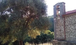 Read more about the article Ζαπάντι Μεσσηνίας: Ένας ξεχασμένος οικισμός σε ένα ειδυλλιακό τοπίο