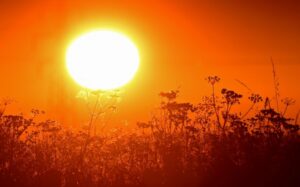 Read more about the article Στο επίκεντρο του καύσωνα Μεσσηνία και Λακωνία