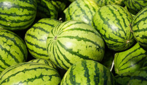 Read more about the article Καλαμάτα: Έκλεψε 4 τόνους καρπούζια από χωράφι και τα πούλησε