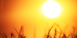 Read more about the article Καιρός: Ο καύσωνας επιμένει στη χώρα μας – Πότε έρχονται «ανάσες» δροσιάς