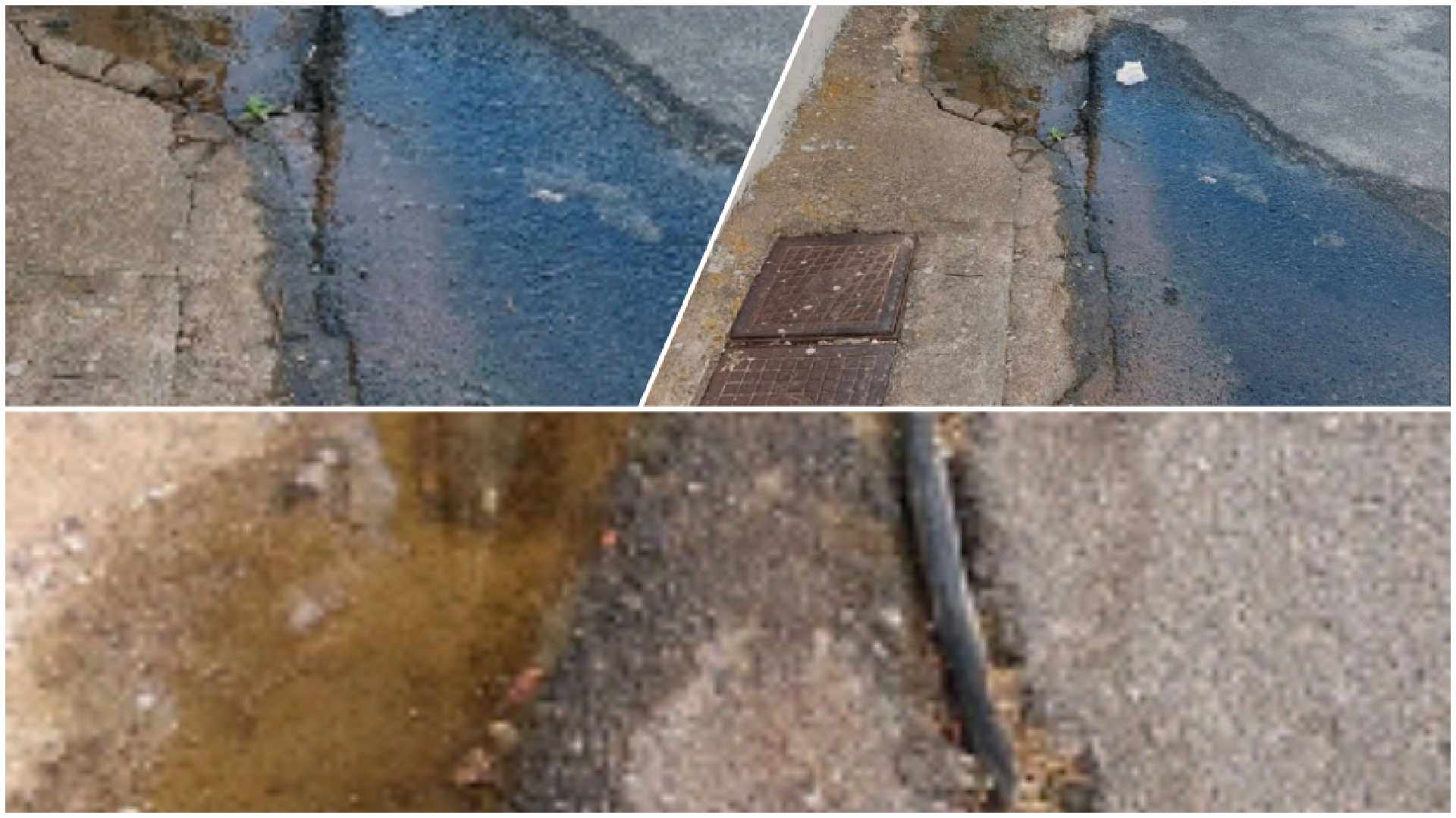 Read more about the article Γαργαλιάνοι: Διαρροή νερού στην Μεγ. Αλεξάνδρου εδώ και  εβδομάδες (εικόνες)