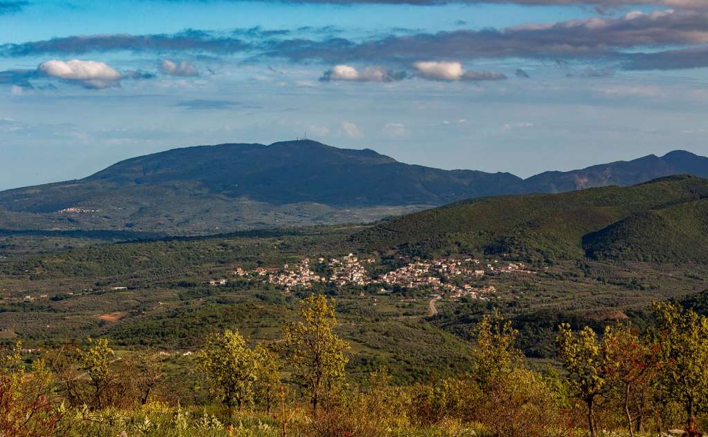 Read more about the article Τεράστιο θέμα με το νερό στο Βλαχόπουλο – Απεγνωσμένοι οι κάτοικοι