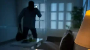 Read more about the article Τριφυλία: Εξαρθρώθηκε σπείρα που ρήμαζε την περιοχή… κατά λάθος