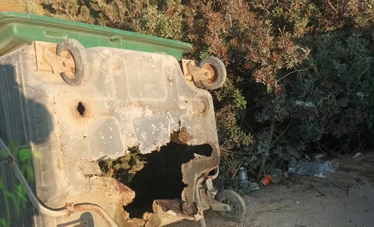 You are currently viewing Κάδος σκουπιδιών στη διάσημη παραλία της βοϊδοκοιλιάς