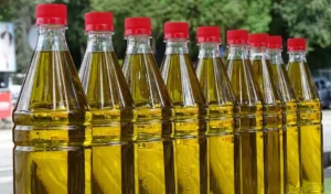 Read more about the article Ελαιόλαδο: Σήμα κινδύνου για Μεσσηνία και Λακωνία