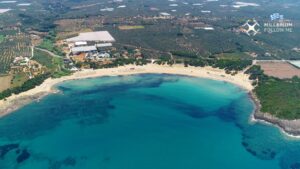 Read more about the article Τριφυλία: Τραγικό τέλος για 81χρονο στο Λαγκούβαρδο