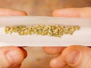 Read more about the article Πυλία: Χειροπέδες σε 3 άτομα για τσιγαριλίκι και ποσότητα κάνναβης