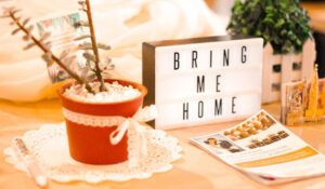 Read more about the article Πρωταγωνίστρια η Καλαμάτα στα σπίτια που διατείθονται σαν AirBnB στη Πελοπόννησο