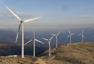 Read more about the article Δυτική Μάνη: Κάθετα αντίθετοι, φορείς και κοινωνία στην τοποθέτηση αναμογεννητριών