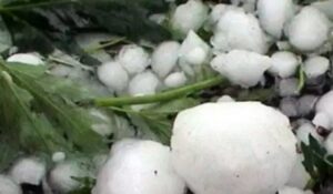 Read more about the article Χαλάζι σάρωσε την Πύλο: Εκτεταμένες ζημιές σε καλλιέργειες και οχήματα