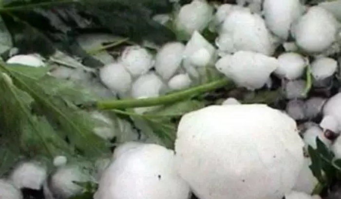 You are currently viewing Χαλάζι σάρωσε την Πύλο: Εκτεταμένες ζημιές σε καλλιέργειες και οχήματα