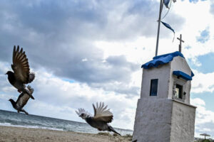 Read more about the article Έρχεται Χειμώνας: Ο καιρός «αγριεύει» με πολικές αέριες μάζες από την Ουκρανία