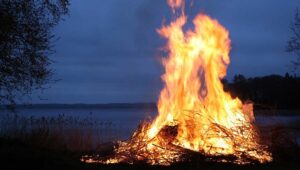 Read more about the article Οιχαλία: Σύλληψη και πρόστιμο σε γυναίκα που έκαιγε ξερά κλαδιά και χόρτα