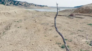 Read more about the article Η Ανταρσία στο Μωριά για το νερό και την Costa Navarino