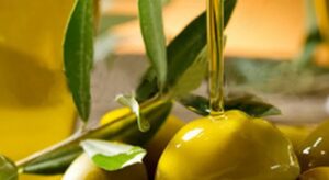 Read more about the article Σεμινάριο – Ημερίδα σήμερα, στο Μουζάκι Τριφυλίας για το ελαιόλαδο