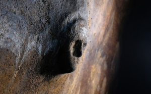 Read more about the article Ανακαλύφθηκε μυστηριώδης μάσκα ενσωματωμένη σε τοίχο σε αρχαία αιγυπτιακή πόλη