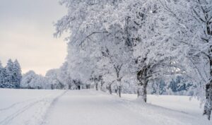 Read more about the article Καιρός: Μετά από 13 χρόνια έρχεται αντισιβηρικός κυκλώνας στα Βαλκάνια