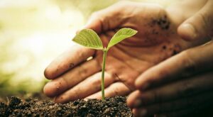 Read more about the article Ο Σύλλογος Γεωπόνων Ελεύθερων Επαγγελματιών Μεσσηνίας για τα Τέμπη